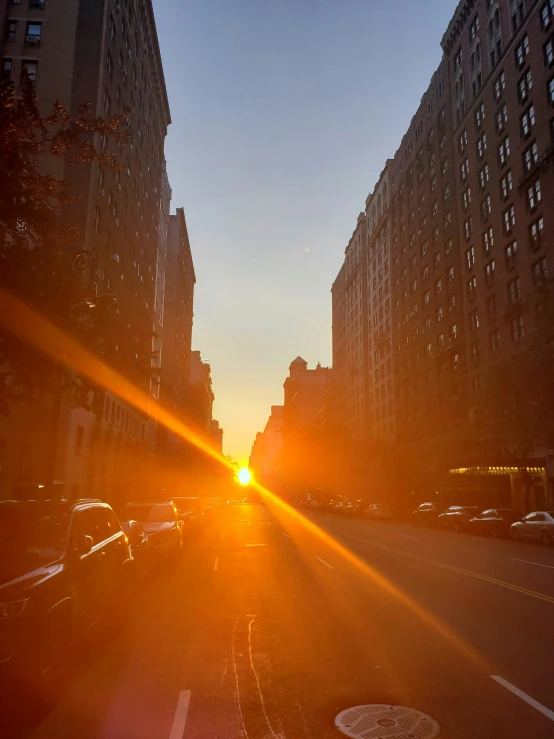 a city street is bathed in the setting sun