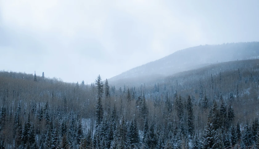 snow covers the trees and hills in the distance