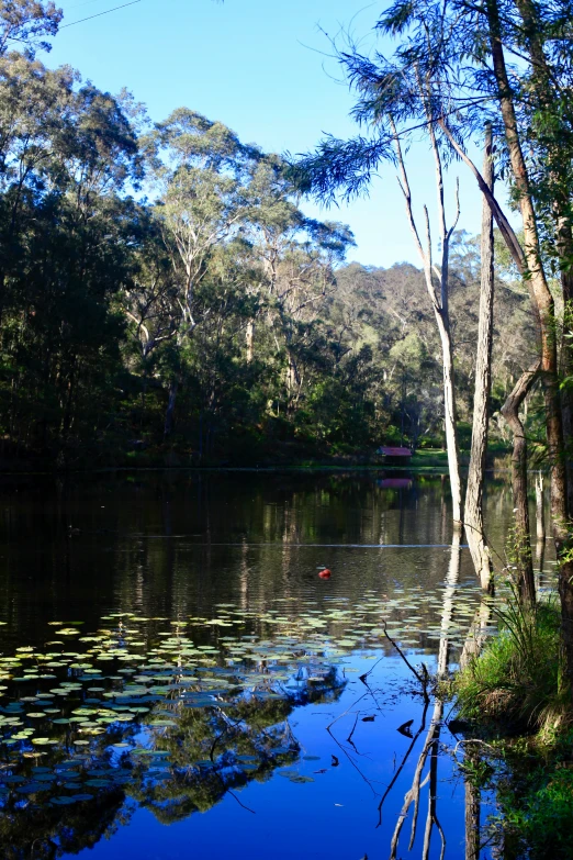 the pond is quiet and still empty with no people