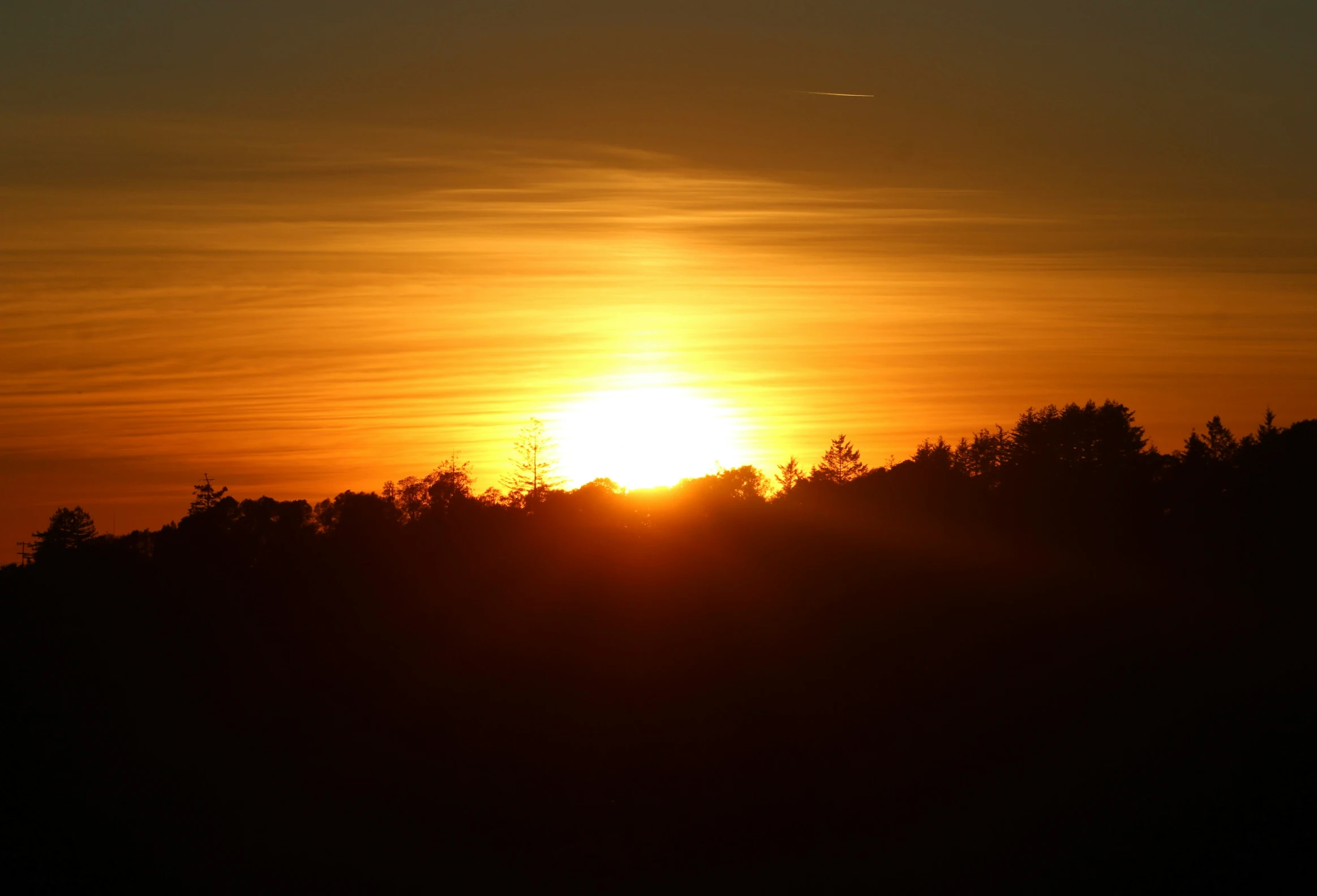 the sun is setting with a lot of trees near by