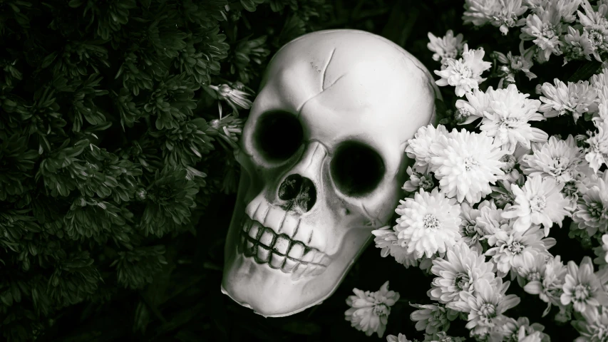 a small white skull sitting next to some flowers