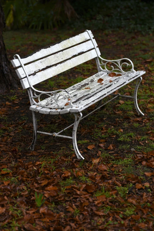 an empty white bench in the park