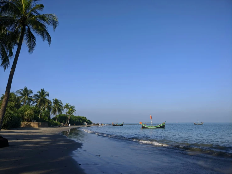 a row of trees along the shoreline of a beach