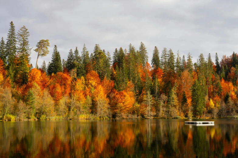 autumn foliage and trees reflecting in water