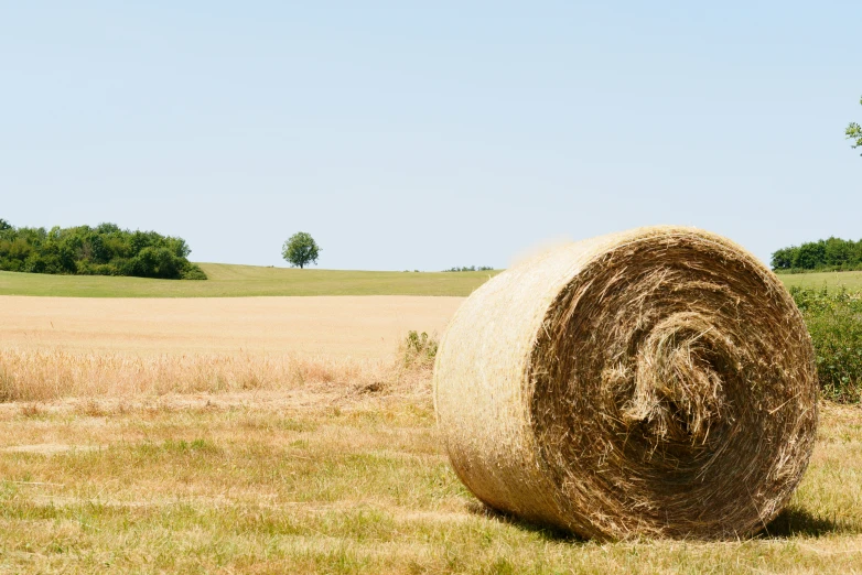 a very large hay bale out in the field