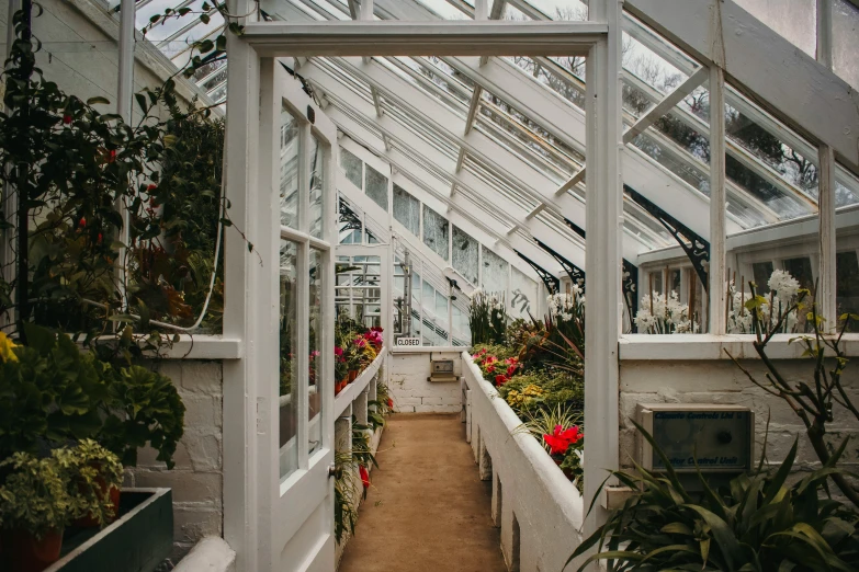 a long narrow hallway leading into many different greenhouses