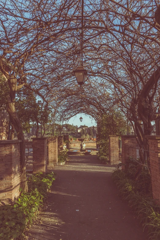 a picture of some trees on the other side