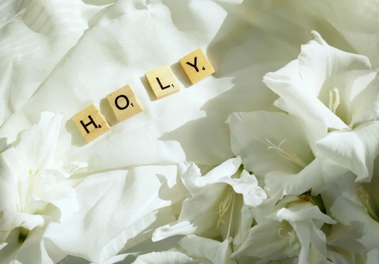 a po of white flowers and scrabbles with the word holey spelled out