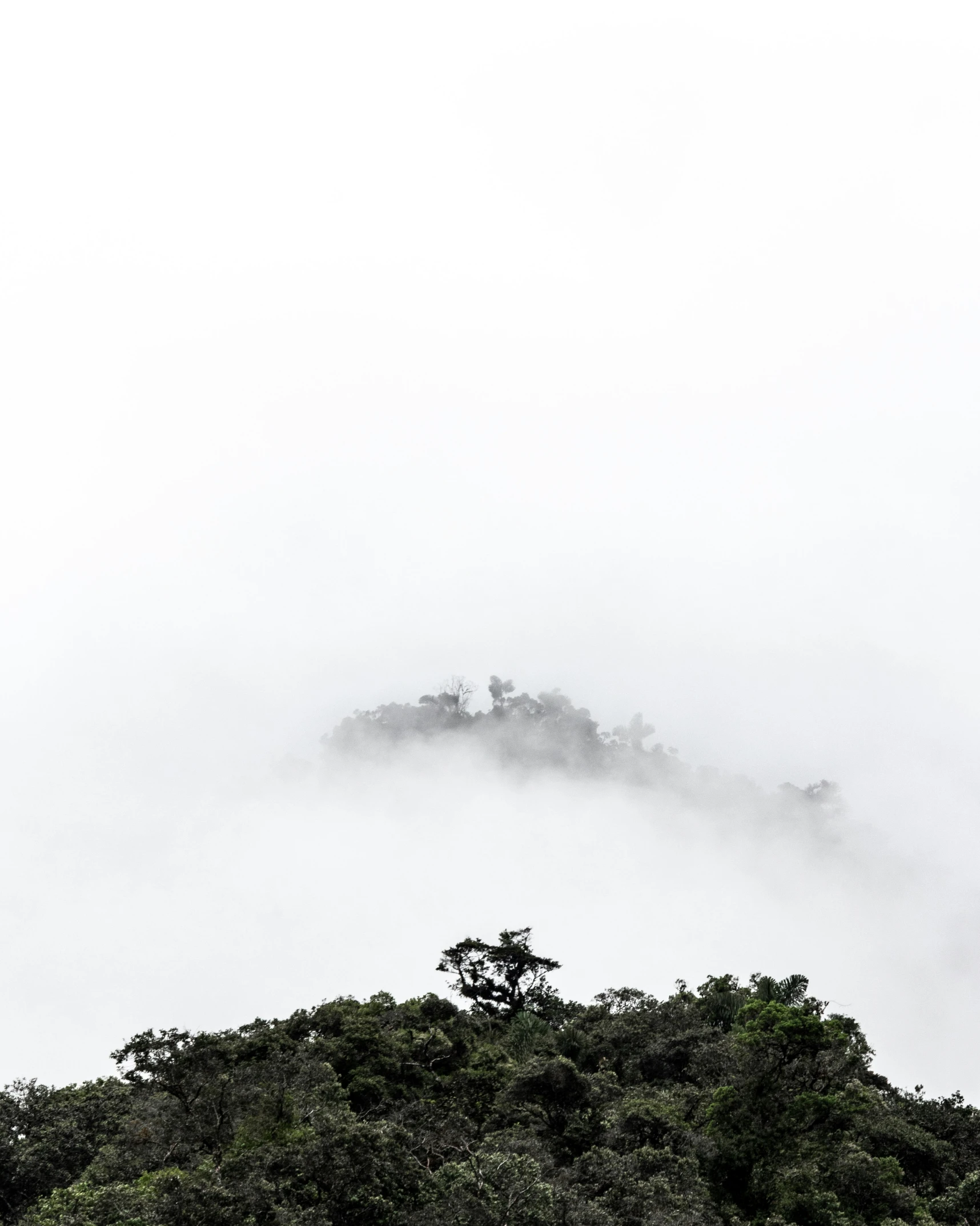 a group of mountains covered in thick fog