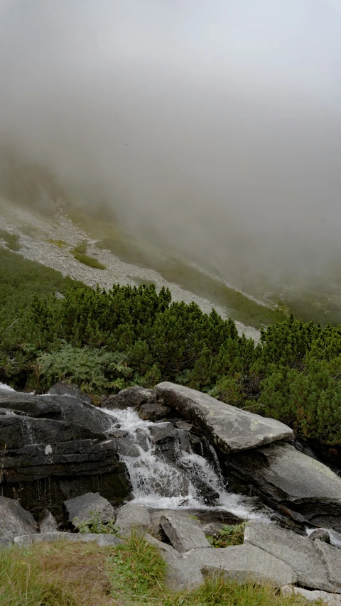 waterfall and stream in cloudy, foggy mountainside area