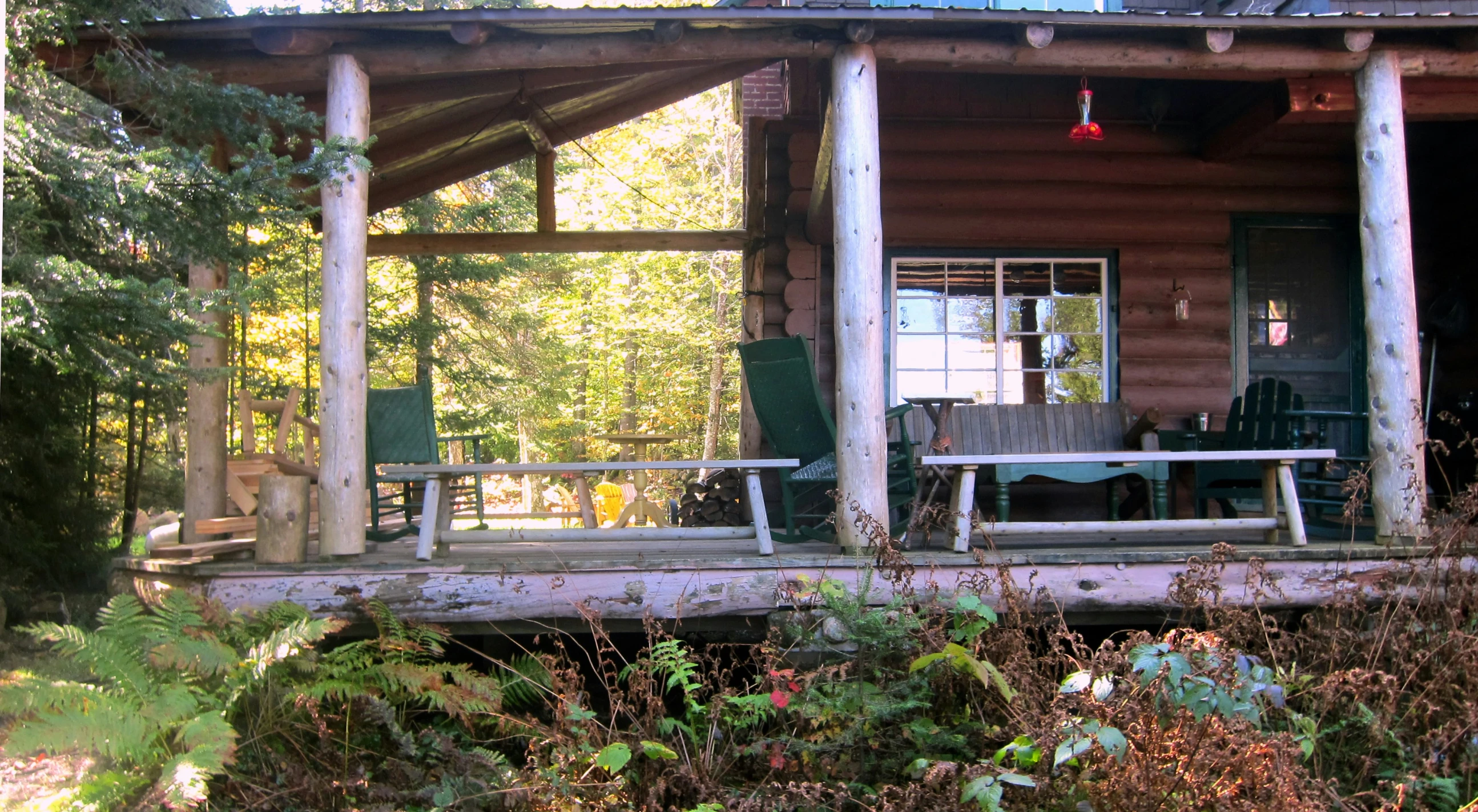 the porch of a cabin overlooking the woods