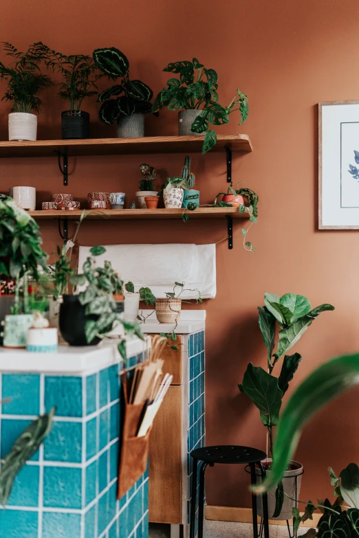 an image of some potted plants in the corner of the room