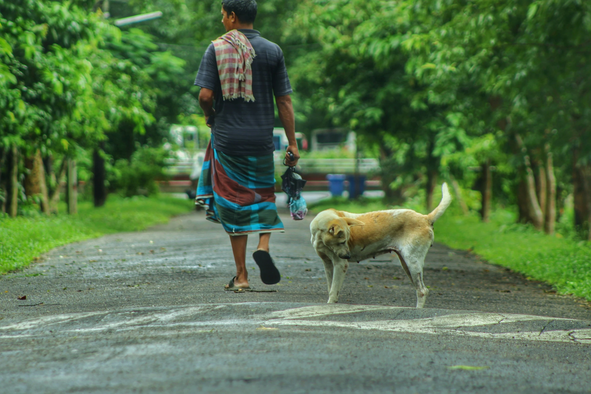 a woman walking down a road with a dog next to her