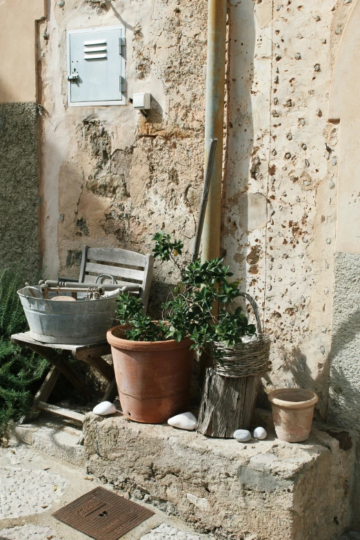 a bench and potted plants sit on the cement steps