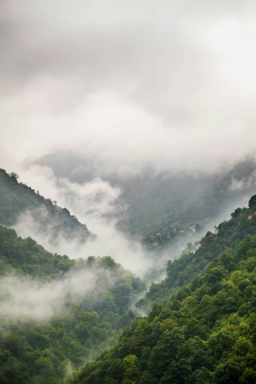 a picture of some mountains that are very foggy