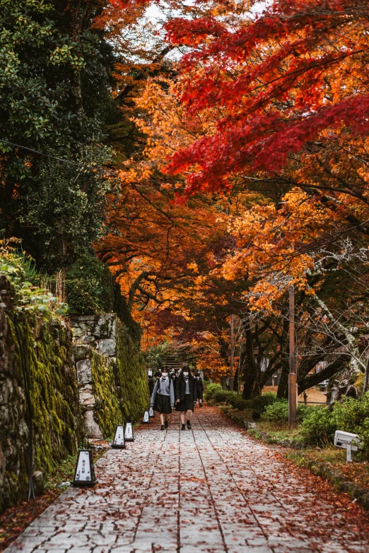 a couple of people are walking down a path