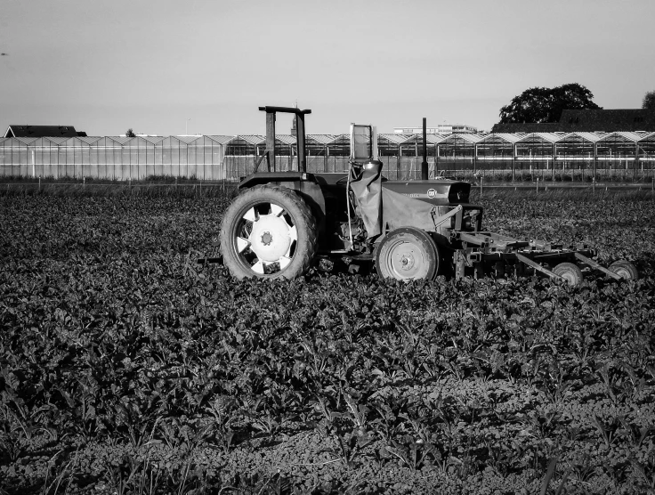 a black and white image of an old tractor