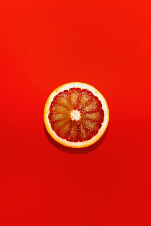 a close up of an orange slice on a red background
