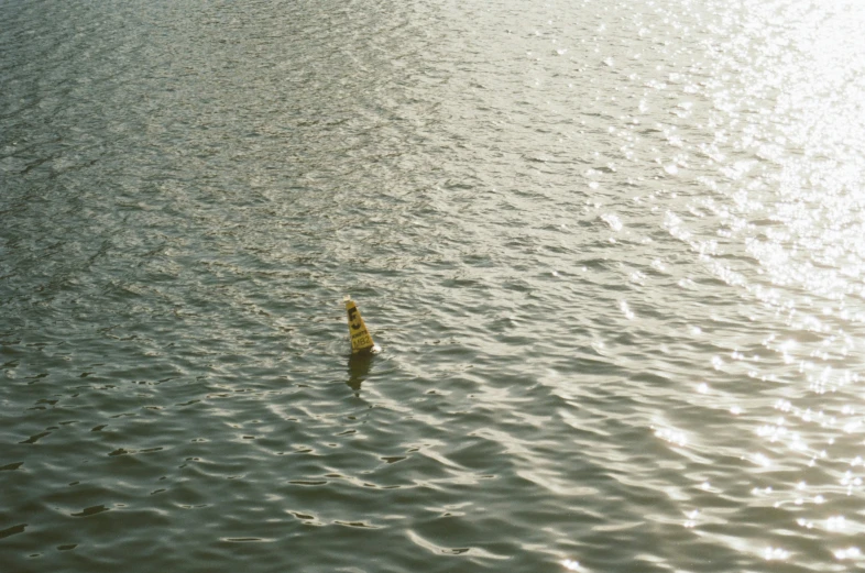 the person swims in the water alone