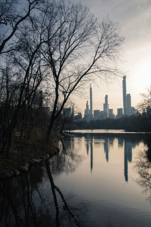 a view of the city skylines across the water