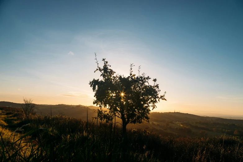 the sun is setting on a tree on a mountain