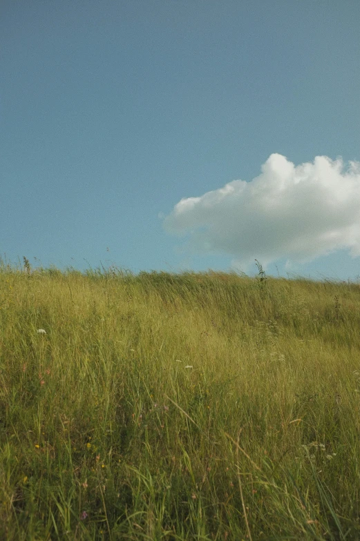 a very tall green grass covered hill with a small white cloud