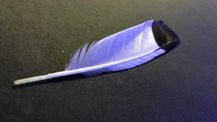there is an feather with a tiny tipped tip sitting on a black surface