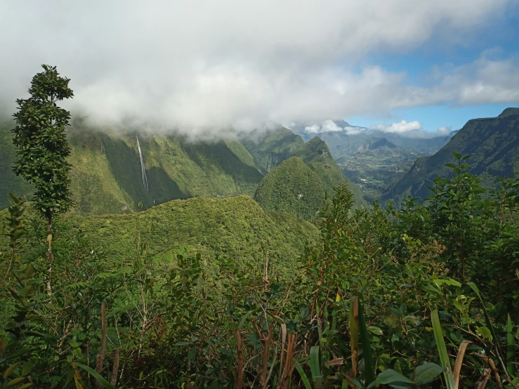 a lush green hillside surrounded by mountains and trees