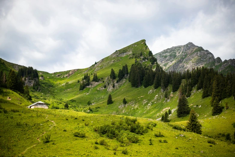 there is a house in the green mountains