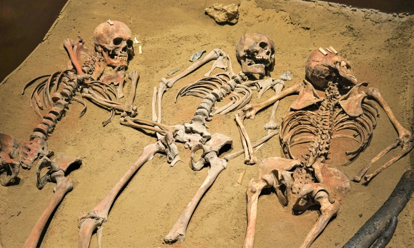 a group of skeleton sitting next to each other on top of dirt