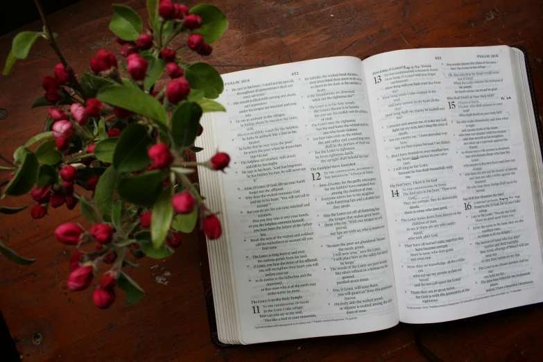 an open book sitting on a wooden table