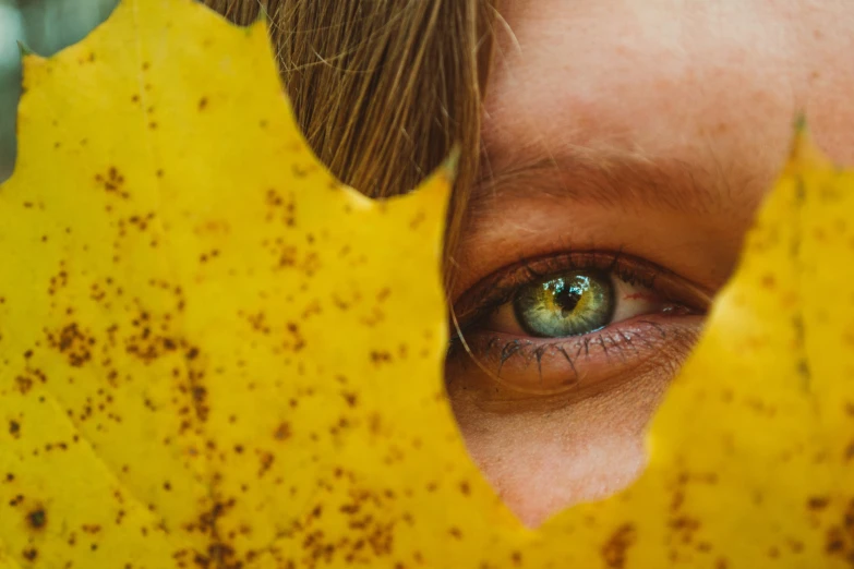 a woman's green eye peers out from beneath yellow leaves