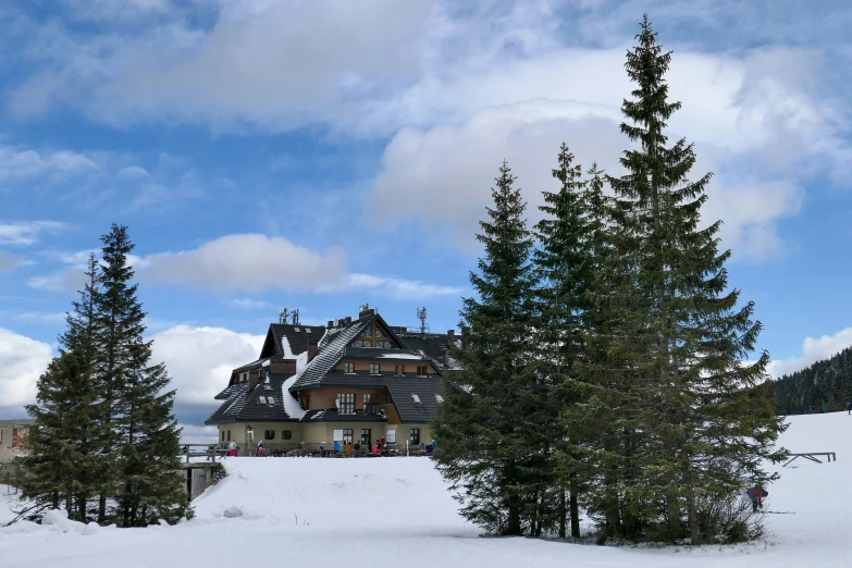 a house surrounded by pine trees in a snowy landscape