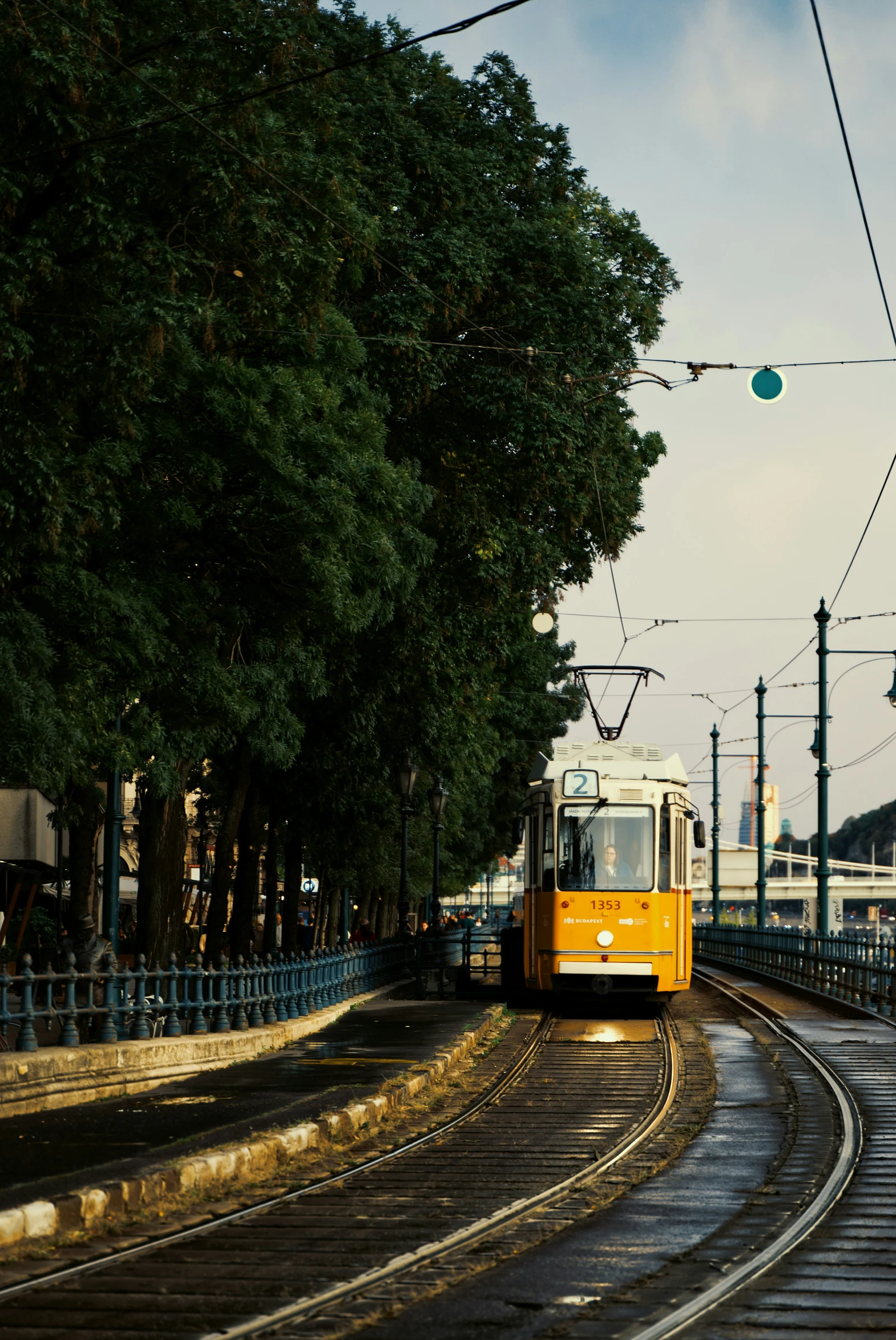 a yellow train rides near a tree lined rail road tracks