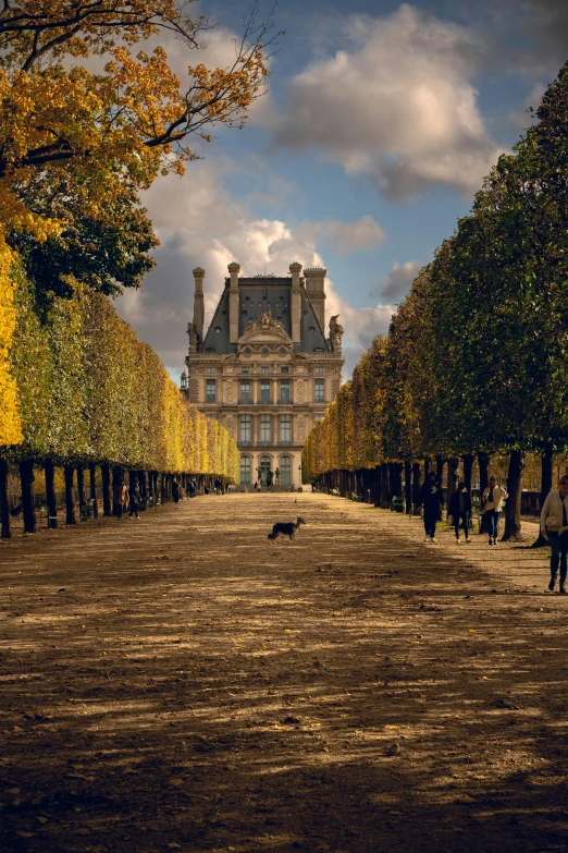 a large building on the road behind some trees