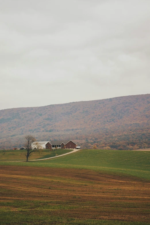 a field with green grass and dirt