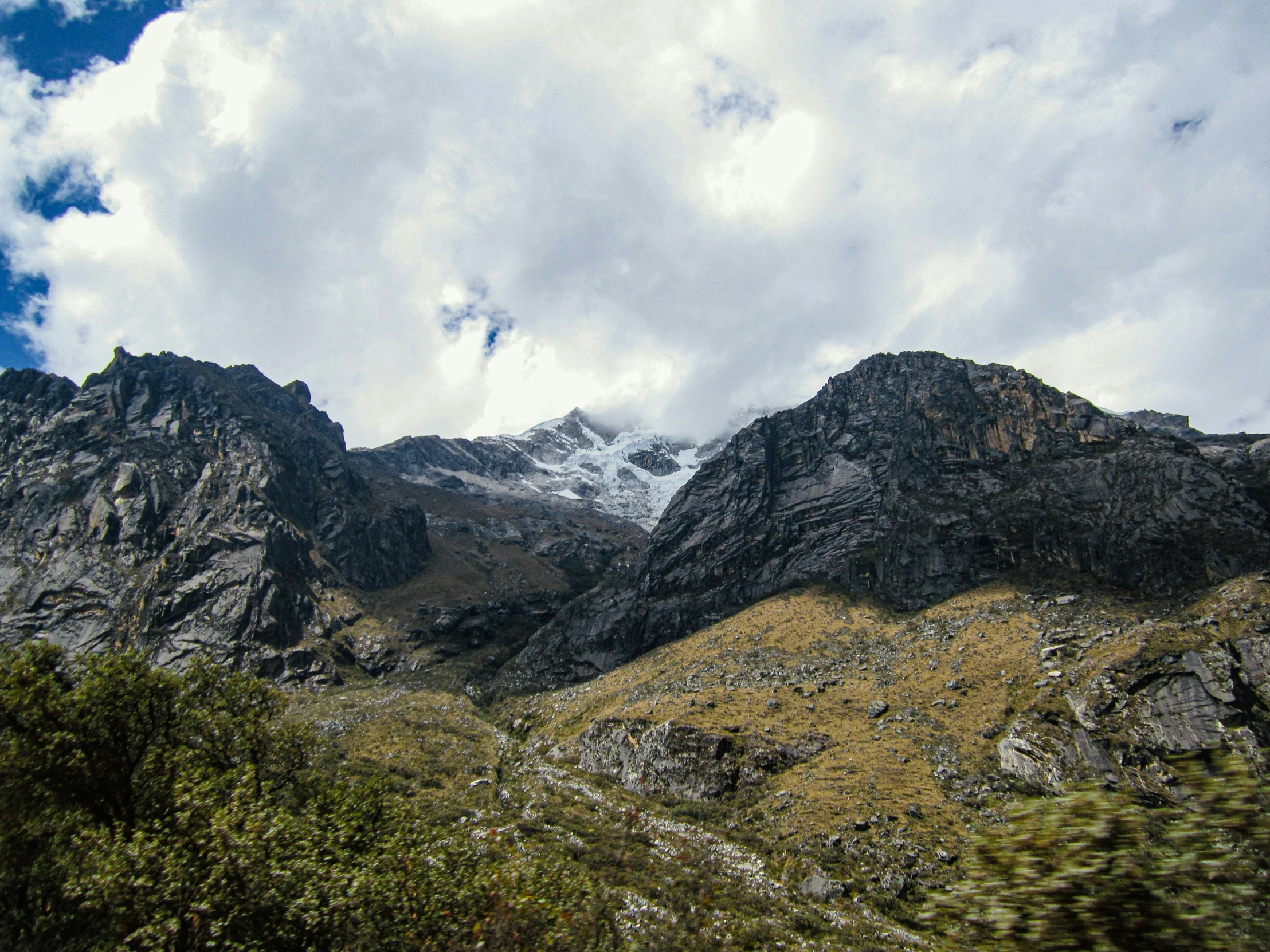 mountains in the distance and bushes in the foreground