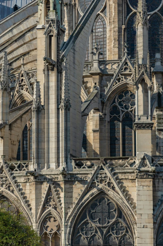 an ornate cathedral with gothic stone and a clock on the tower