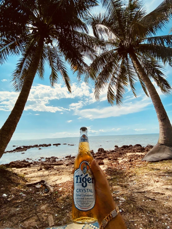 an animal sitting under some palm trees next to water