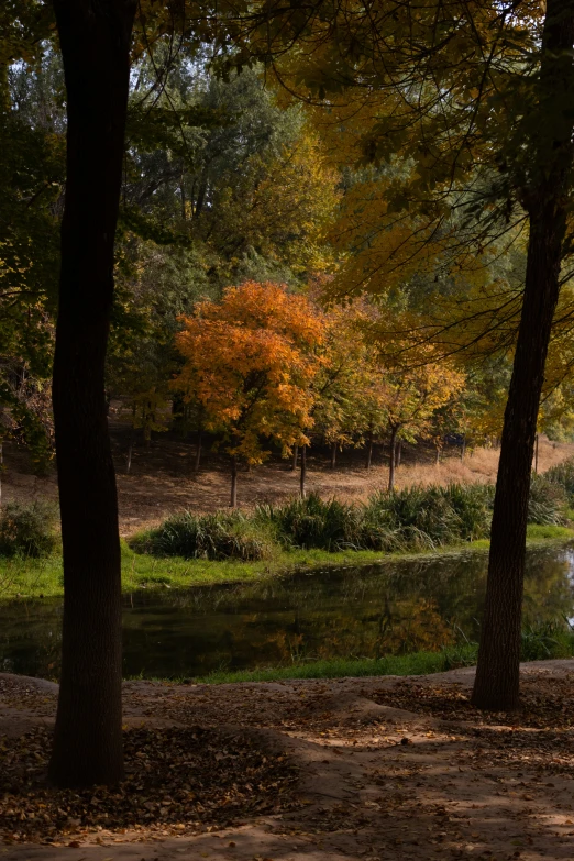 a wooden bench in front of some water and trees