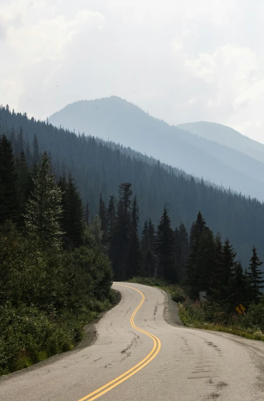 an empty road with yellow markings between trees and hills