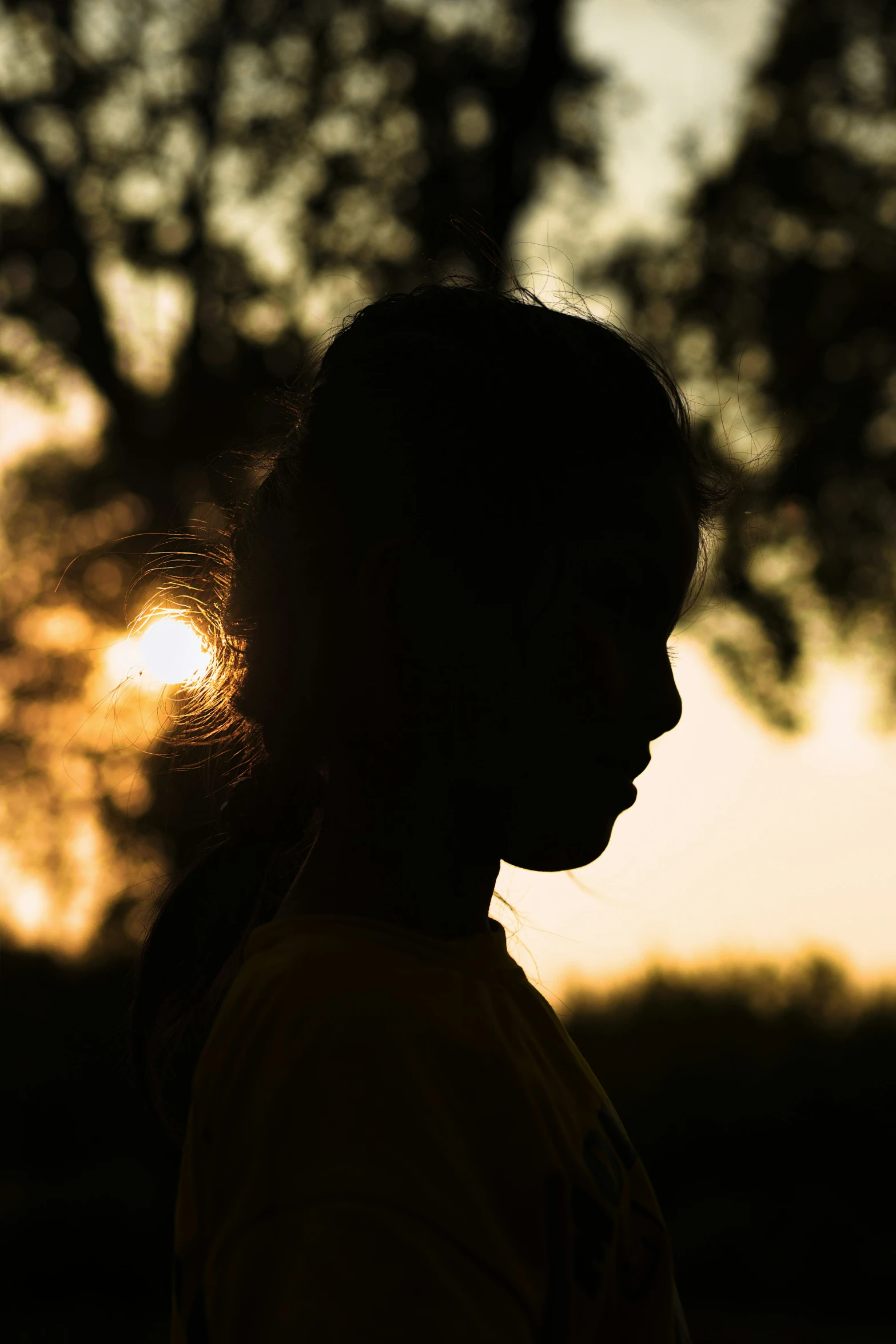 a girl with the sun shining in her hair