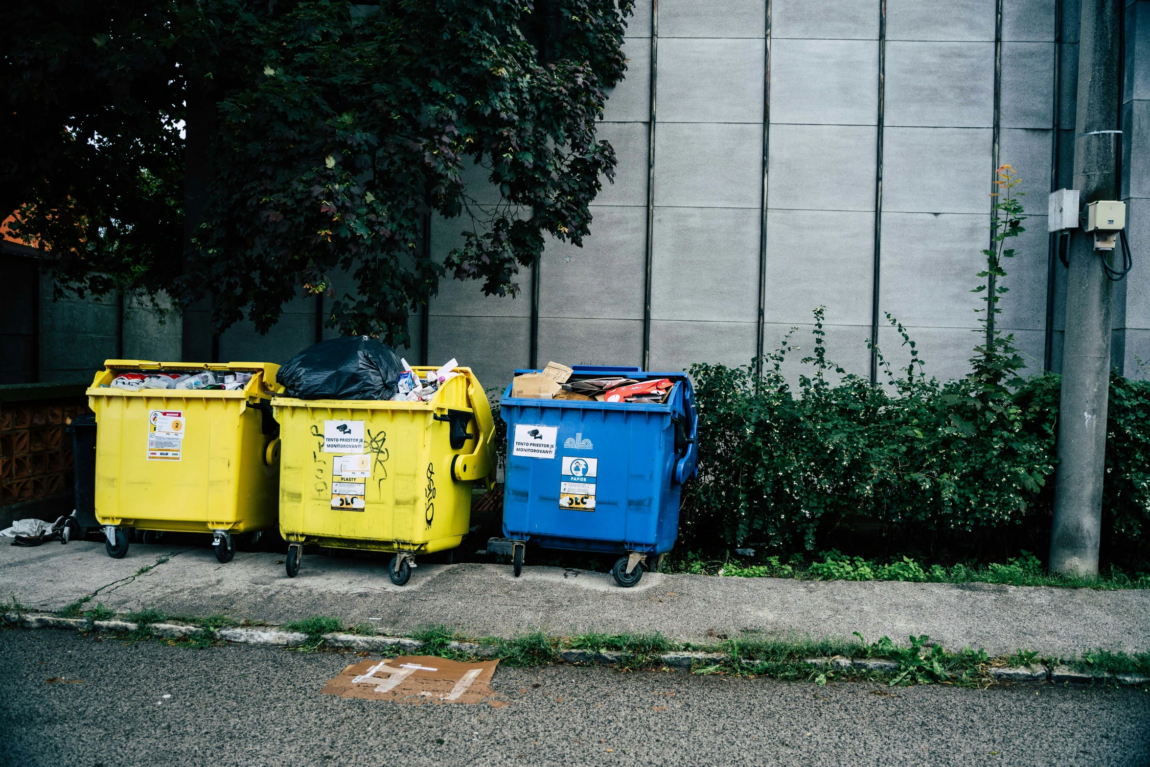 three yellow and blue trash cans sit on the curb of a street