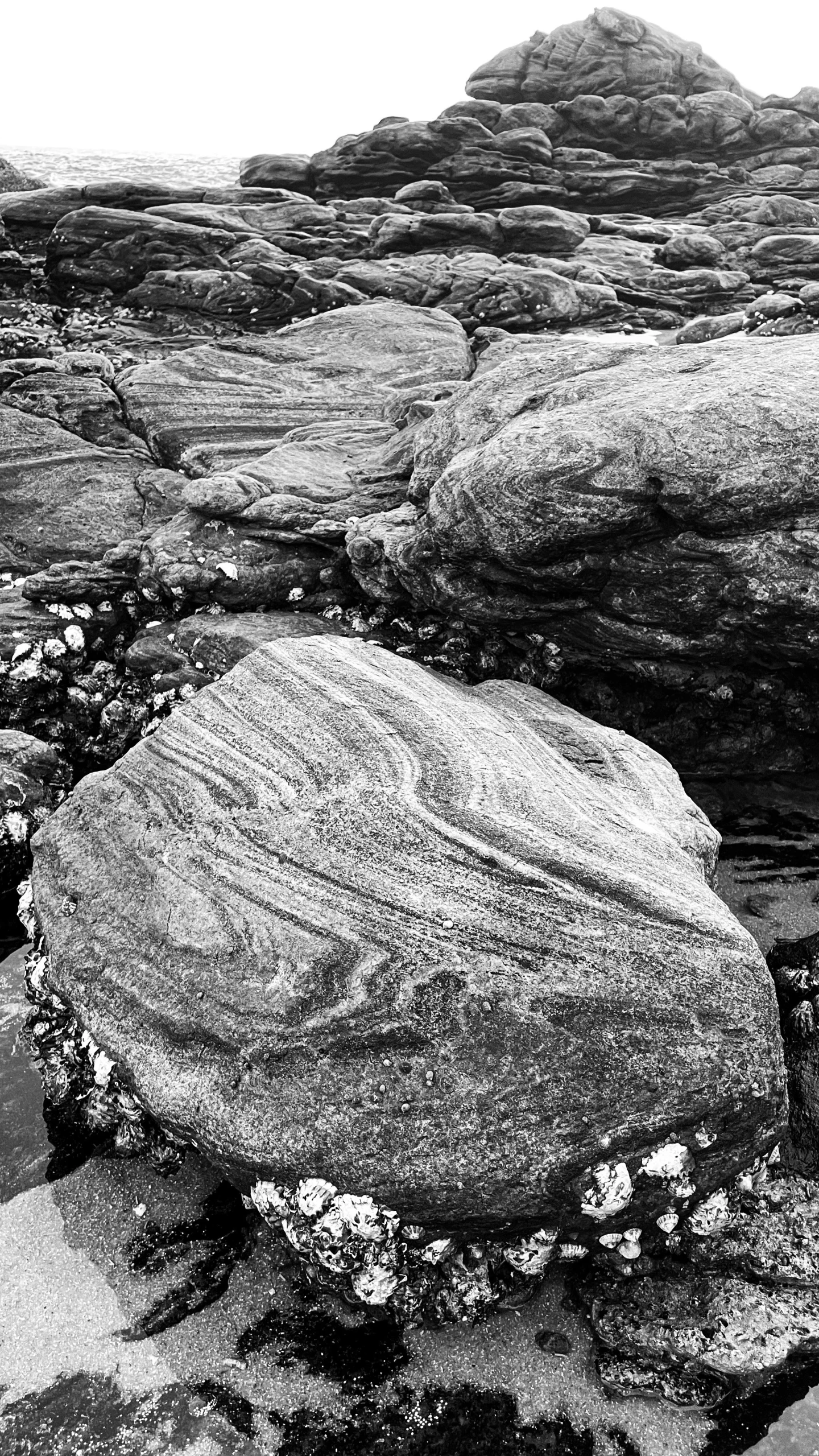 a black and white image of a rock