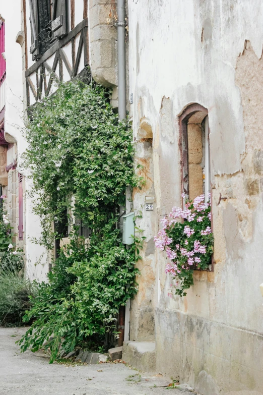 this is an alleyway with flowers and a clock