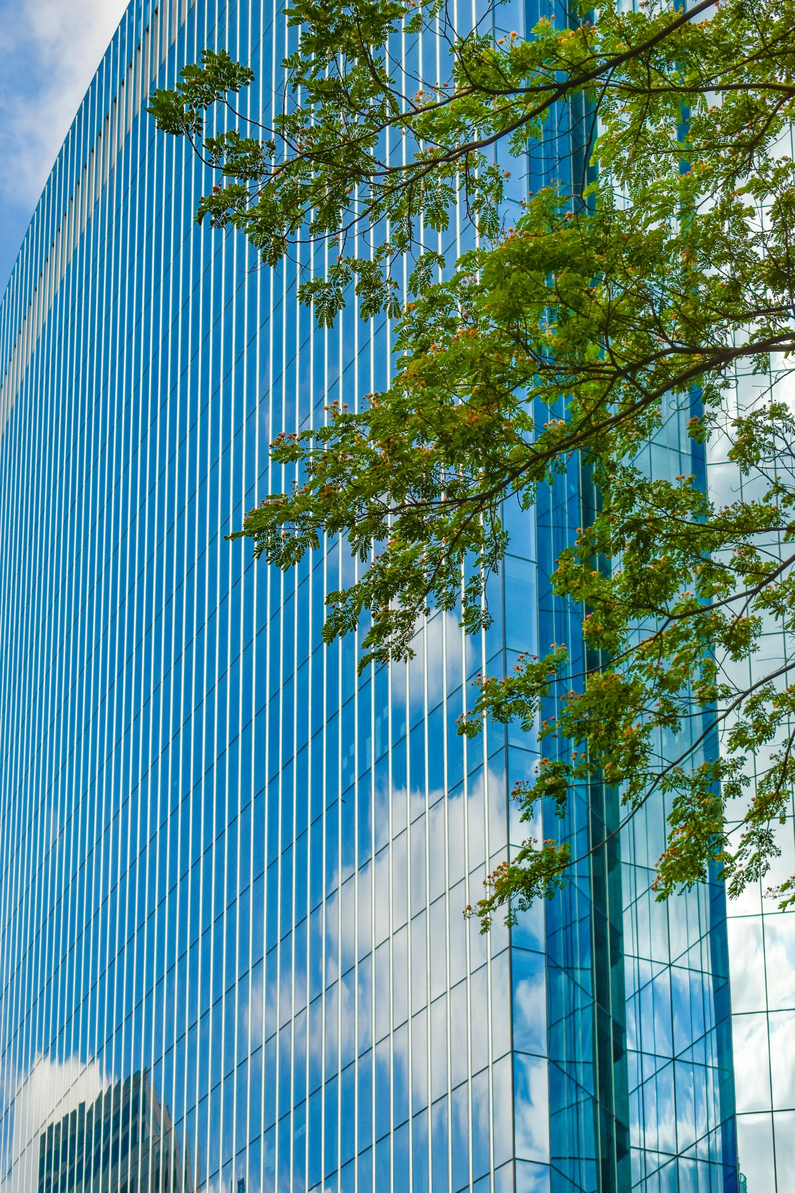 a blue glass building with some trees in front of it