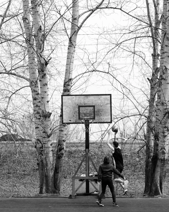 two people play basketball in a park near a large tree