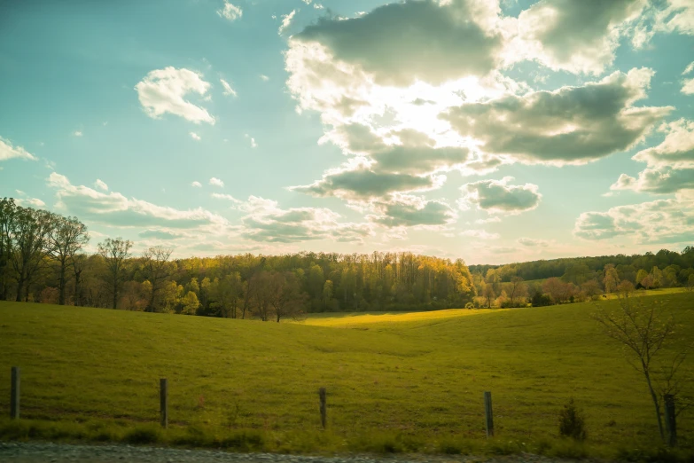 a green hillside covered with trees and a fence