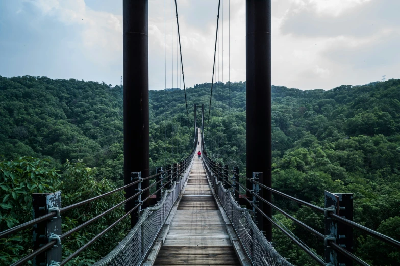 a walkway going through the trees to cross