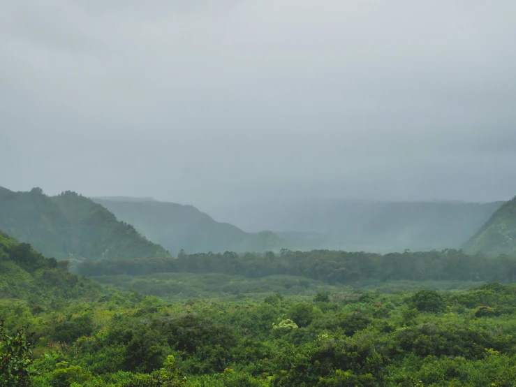 an umbrella is stuck in the middle of a mountain landscape